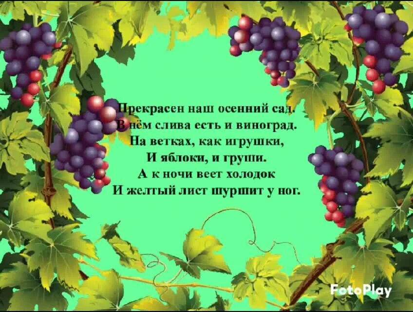 Притча про виноградную лозу о воспитании. Виноградной лозы текст. Виноградной лозы текст. Рамка виноград. Лоза винограда.