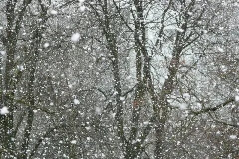 Метель в марте