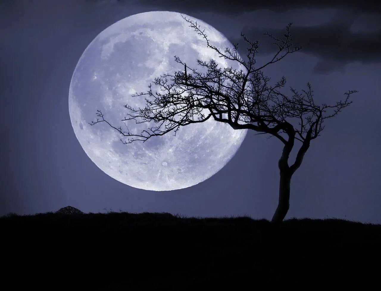 Картинки moon. Луна. Полнолуние. Красивая Луна. Полная Луна.
