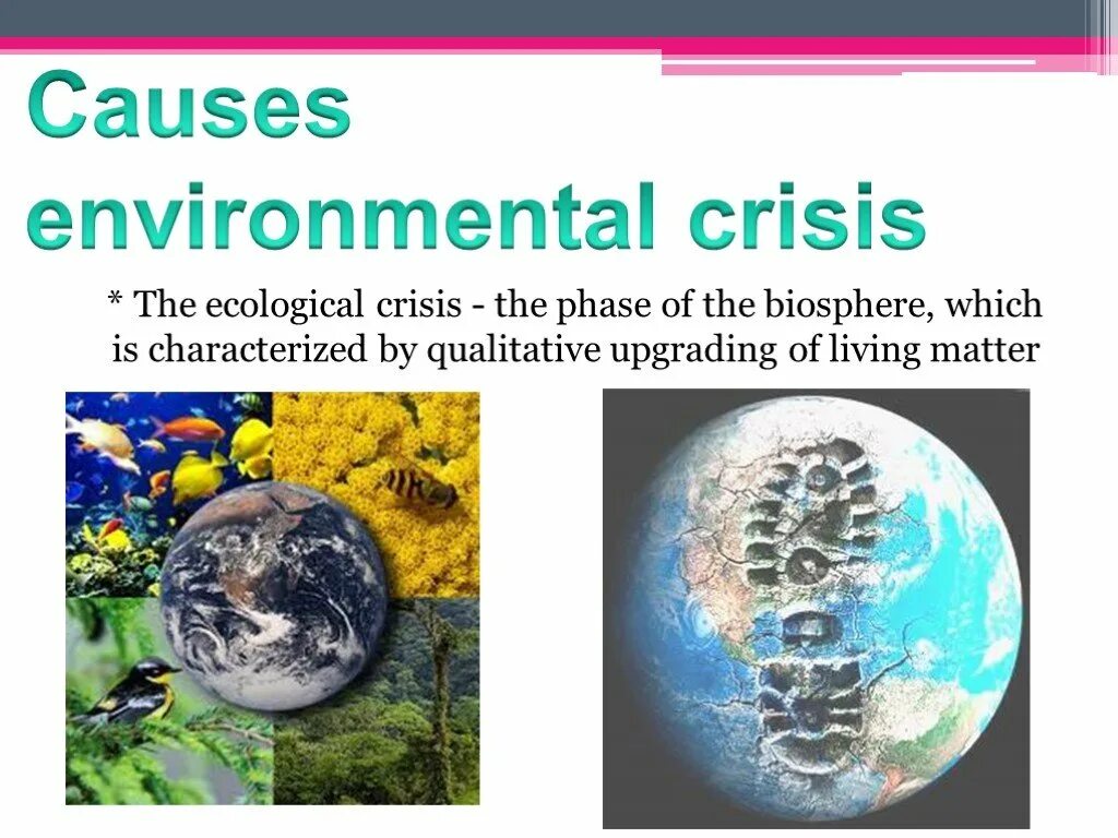 Environmental problems are the result of. Environmental crisis. causes of environmental problems. causes of ecological problems. what ecological problems causes.