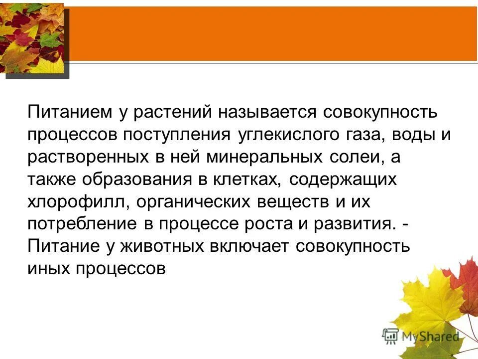 Природное сообщество это совокупность. Биогеоценоз определение структура. Растительное сообщество это совокупность. Абиотическими факторами называют всю совокупность факторов. Как называется совокупность растений и животных.