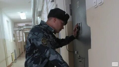 Инспектор колония