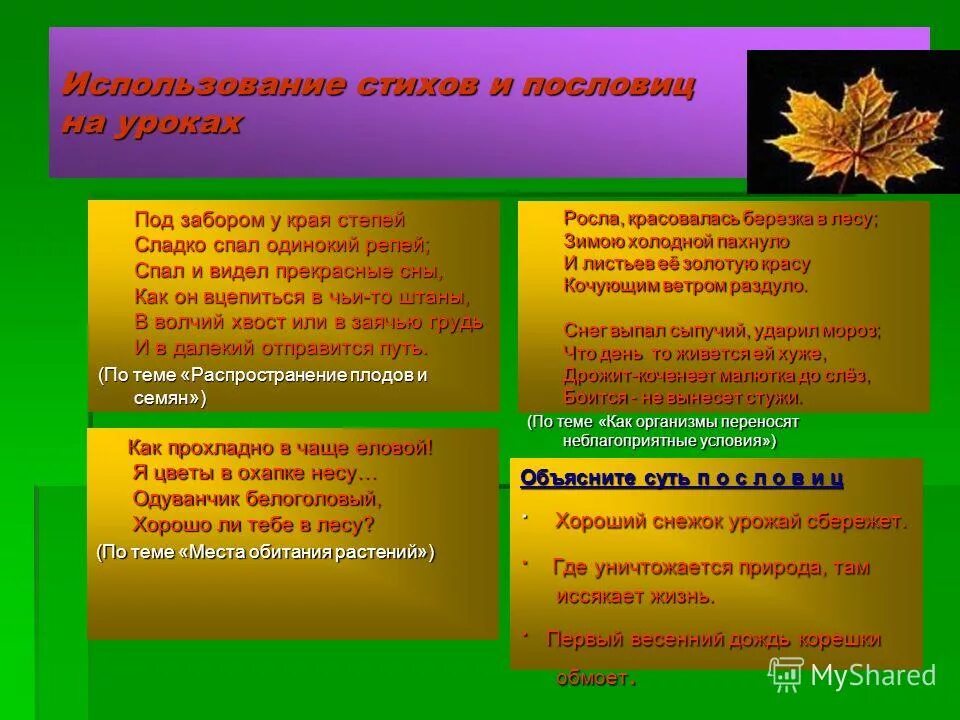 Как прохладно в чаще. Как прохладно в чаще. Стихотворение благининой. Лукашкина стихи о цветах. Одуванчик стихи благининой.