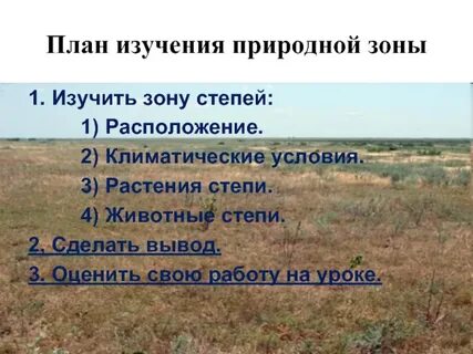Характеристика природных зон презентация