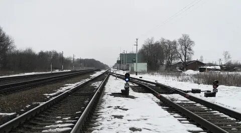 Погода селезни