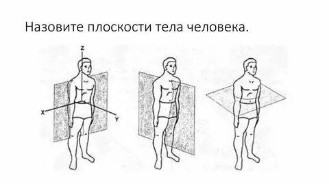 Урок движение тела на плоскости