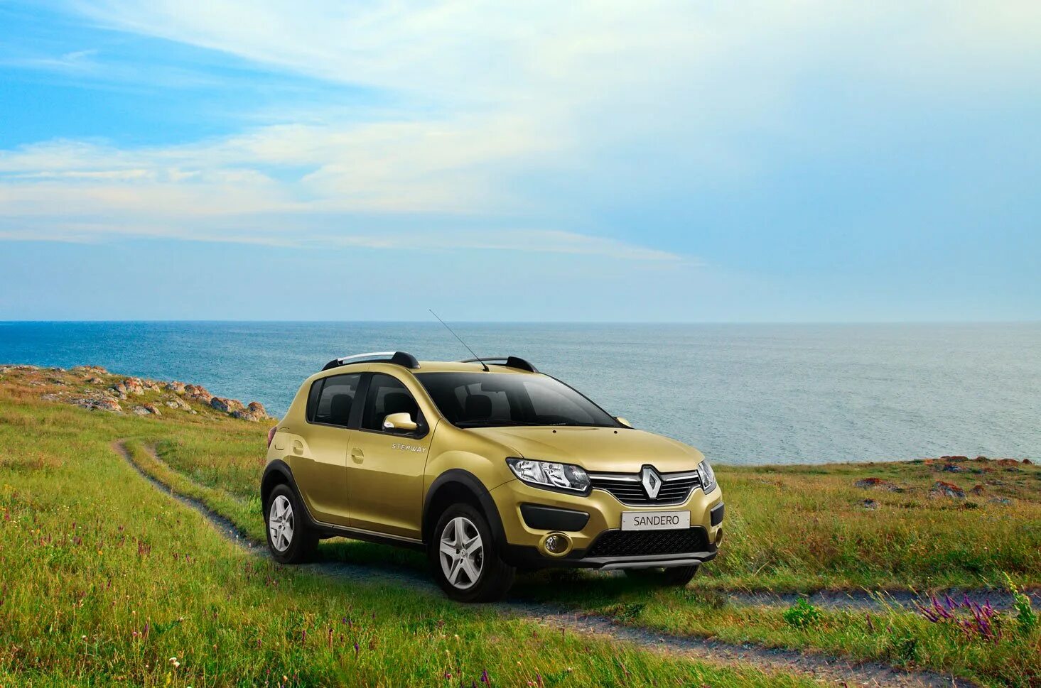 Купить рено оренбургской области. Renault Sandero Stepway. Логан Сандеро степвей. Renault Sandero Stepway 2. Рено Сандеро степвей 2017.