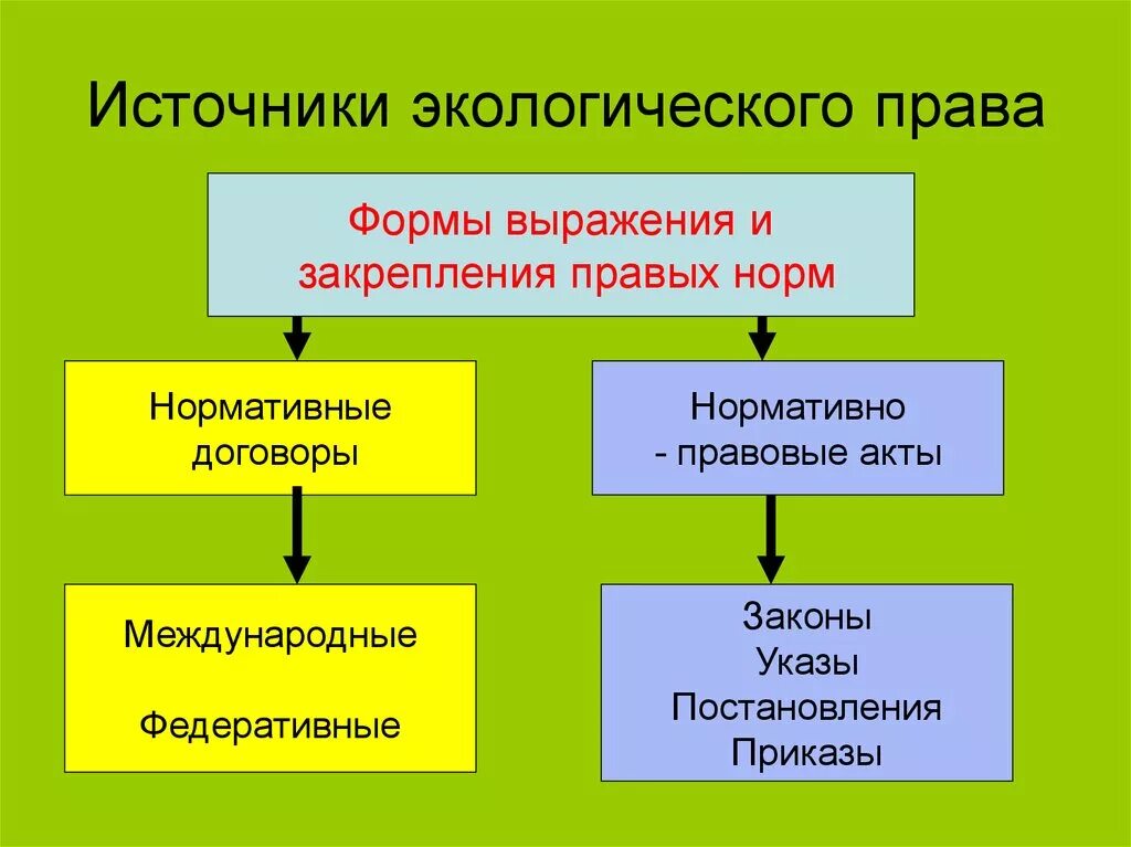 Экологическое право представляет собой. Экологическое право.