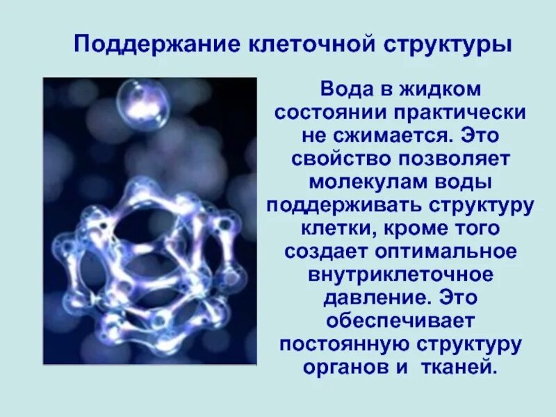 Структура воды в организме человека. Структура молекулы воды. Структура воды химия.