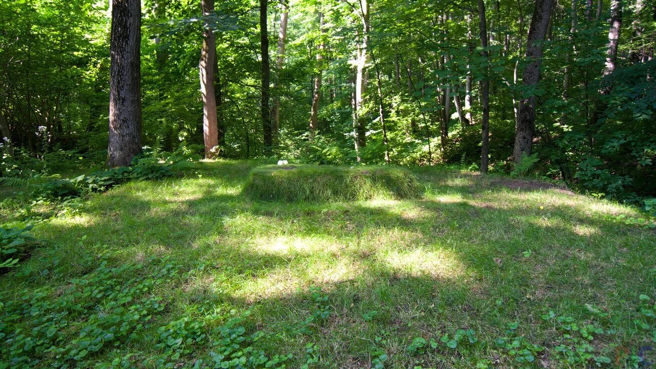 Субальпийские луга на западном кавказе. Луга разнотравье пермского края. Выйти поляна. «урочище энгельмановы поляны – озеро кардывач». Энгельмановы поля сочи.