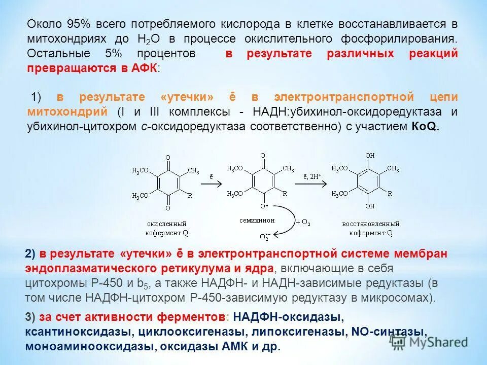 Активные формы кислорода образуются. Митохондрии и активные формы кислорода. Активные формы кислорода таблица.