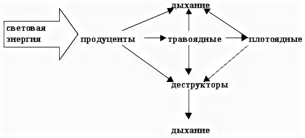 Составьте схему которая