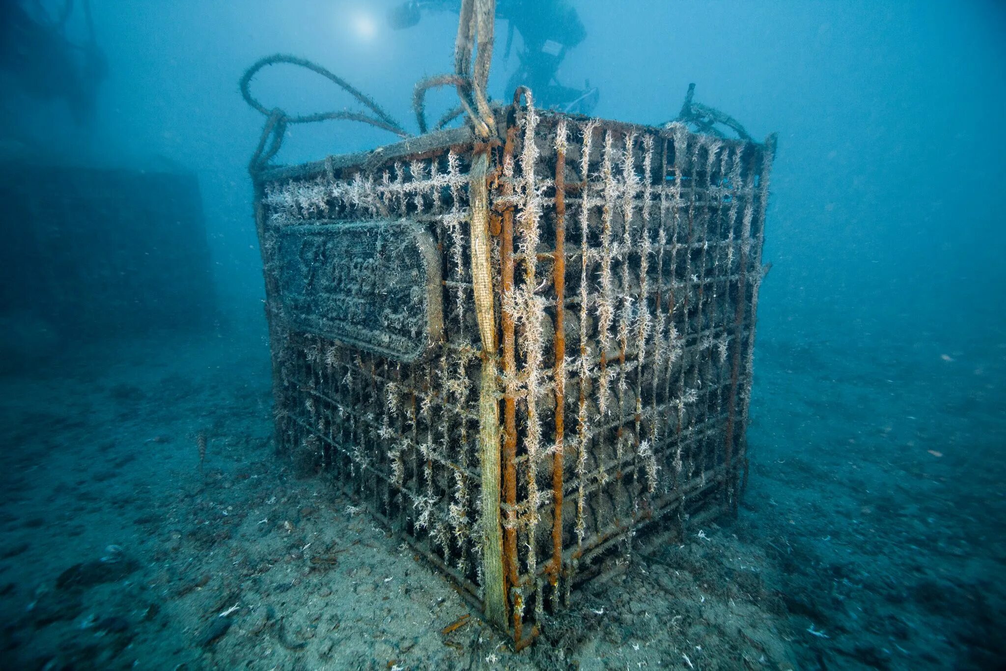 Диорит на морском дне. Затонувшие предметы для аквариума. вино на дне моря. вино которое выдерживается на дне моря. амфоры в трюме корабля.
