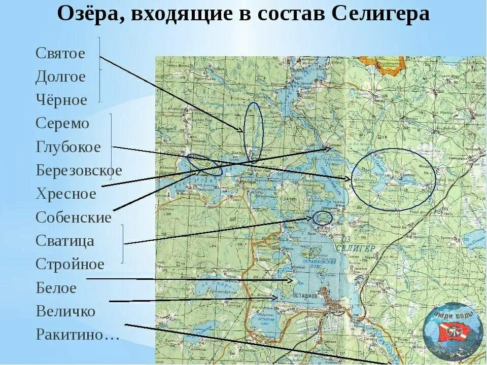 Где находятся озера город. Озера Валдай и Селигер на карте. Озеро Селигер на физической карте. Озеро Селигер на карте. Озеро Валдай и озеро Селигер на карте.