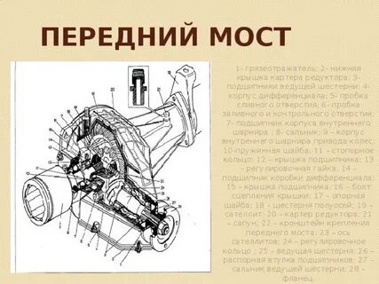Ведущая и ведомая шестерня