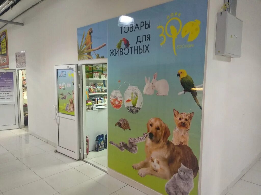 Зоомагазин животные в клетке. Зоомагазин животные. Зоомагазин продать животных. Животные в зоо иагазинах. Собака в магазине.
