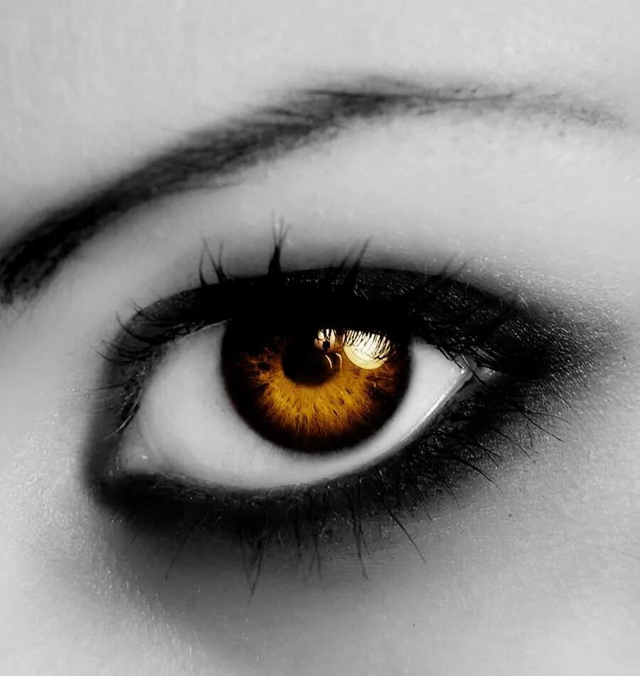 Оранжевые глазки. Оранжевые глаза. Темно оранжевые глаза. Глаза с вертикальным зрачком. Янтарные глаза темные.