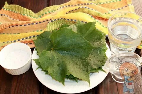 Как заготавливают листья