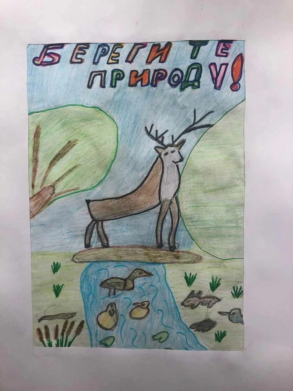 Нарисовать рисунок берегите животных 3 класс. Плакат берегите животных. плакать берегитеживтных. плат берегить животных. рисунок берегите животных.