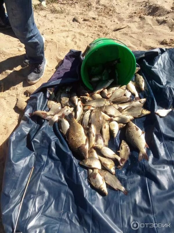 Рыбалка на песчаной. Озеро песчаное алтайский край бурлинский район. Железногорское водохранилище рыбалка. Мурманская рыбалка улыбнулось весело. Железногорское водохранилище курской.