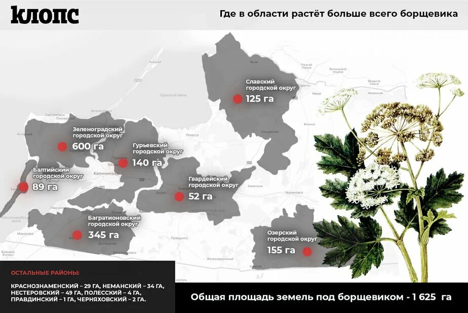 Ареал распространения борщевика сосновского. Ареал распространения борщевика сосновского. Карта борщевика сосновского. Карта борщевика сосновского. Карта борщевика сосновского.