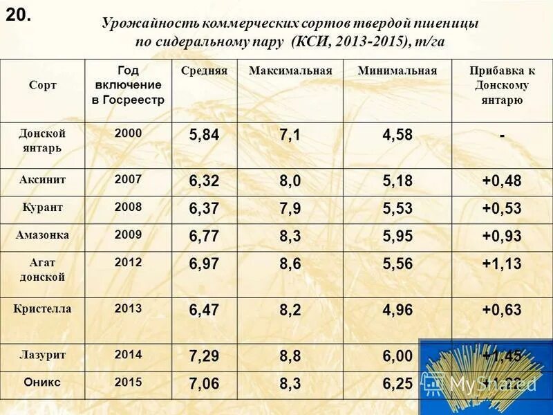 Цефей сорт озимой пшеницы. Московская 39 сорт озимой пшеницы характеристика. Урожайность и качество сортов озимой пшеницы. Озимая пшеница характеристика. Урожайность мальвины