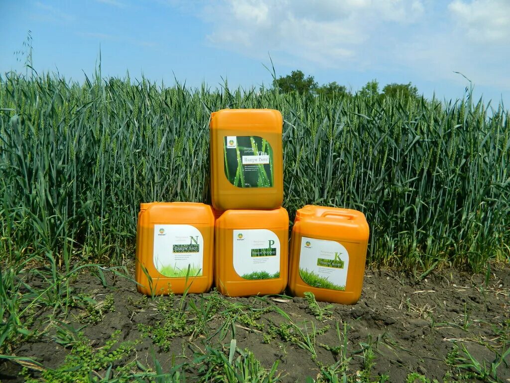 Завод сельмаш брянск. Агротехника логотип. Агротехник ростов. Поставщики сельхозтехники ростовская область. Агротехник логотип.