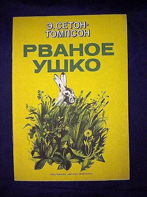 Заяц рваное ухо. Рваное ушко Сетон. Рваное ушко Сетон Томпсон. Сетон-Томпсон рваное ушко иллюстрации. Обложка книги рваное ушко.