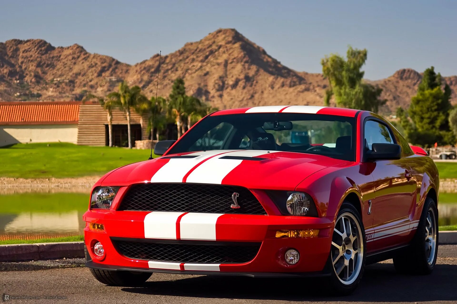 2008 Ford Shelby gt. Форд Мустанг gt 500 Shelby. Форд Мустанг Шелби 2008. Ford Мустанг Shelby gt500. Мустанг 2008