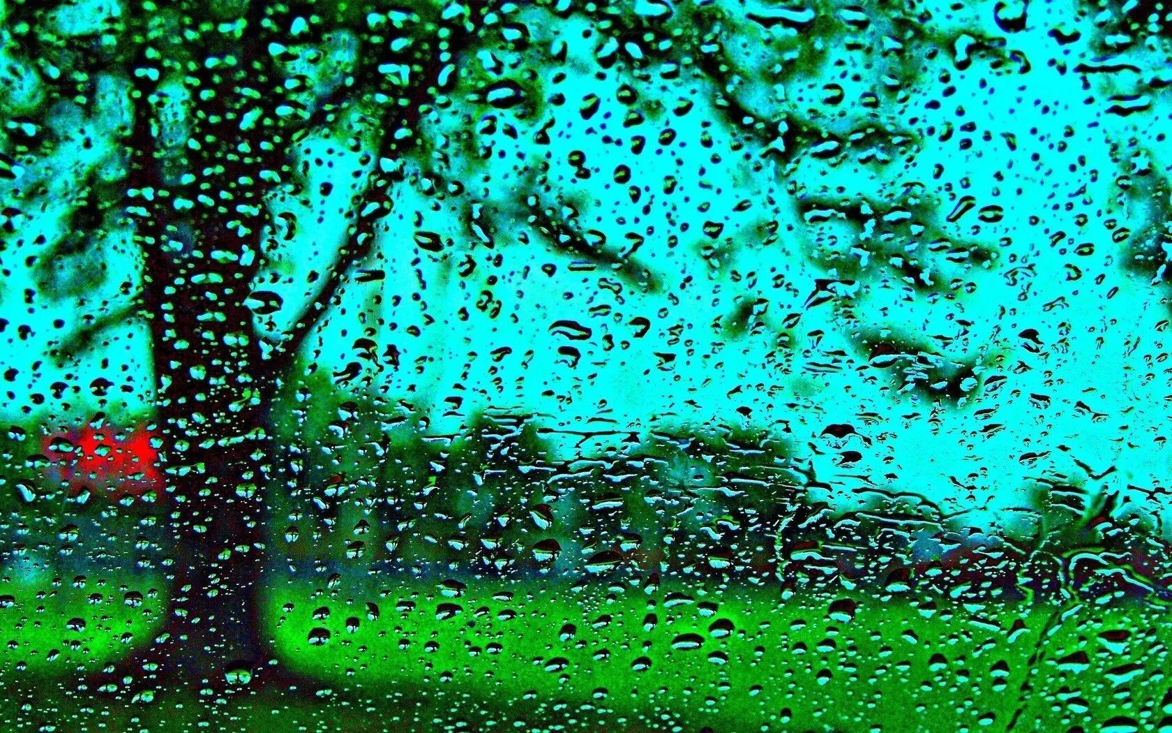 Живые обои капли. Капли на стекле. Капли воды на стекле. Обои дождь. Зеленый дождь.