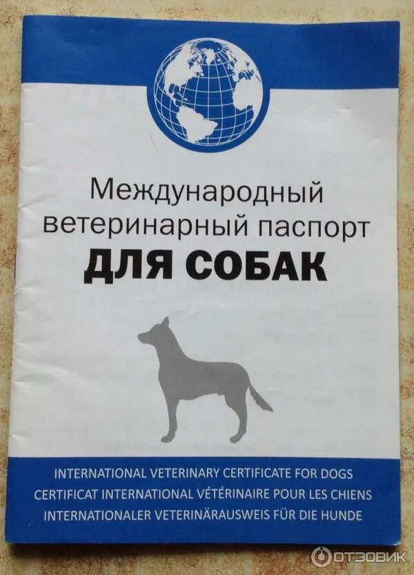 Ветеринар для кошки отзывы. Ветеринарный паспорт для собак и кошек АВЗ. Ветеринарный паспорт АВЗ для собак. АВЗ ветеринарный паспорт для кошек. Международный ветпаспорт для кошек.