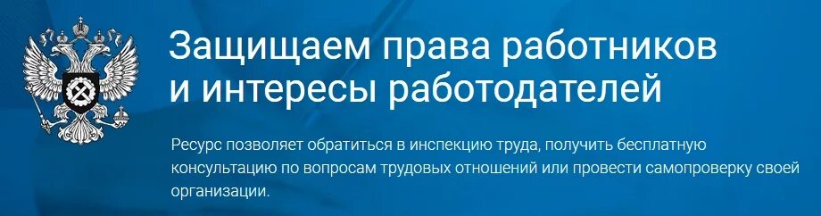 Инспектор трудовой инспекции. Профсоюзные инспекторы труда. Инспекция труда. Трудовая инспекция липецк. Анна гиеш архангельск трудовая инспекция.