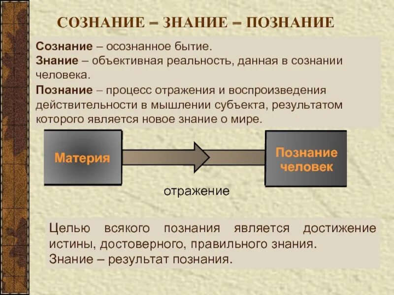 Объективное отображение