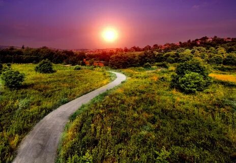 Pathway