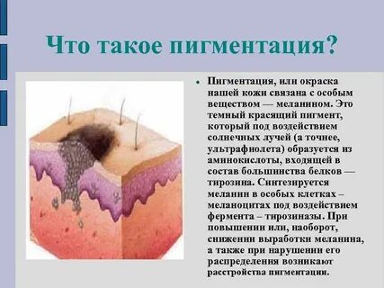 В коже содержится пигмент
