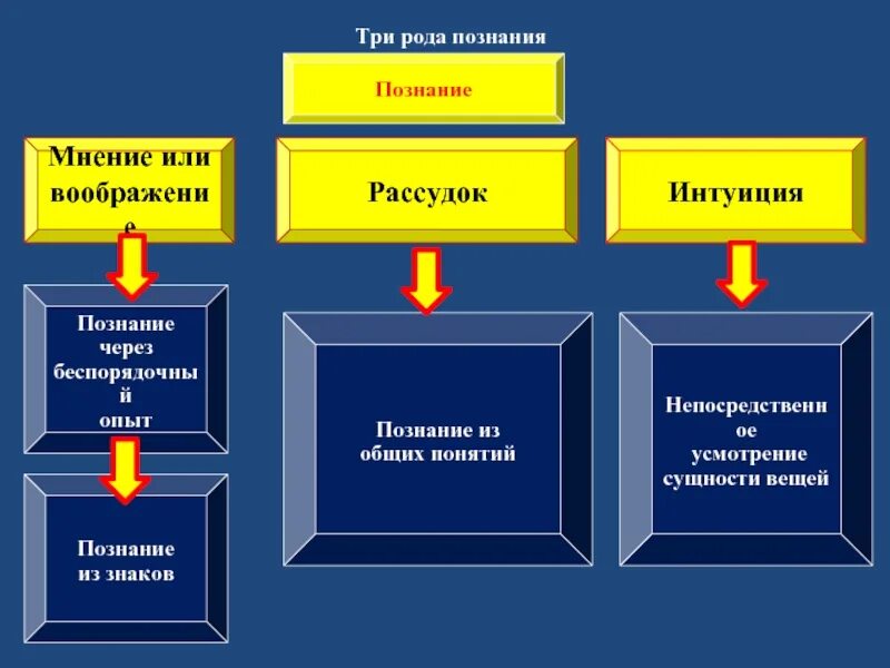 Постижение сущности 8 букв. Три концепции познания.