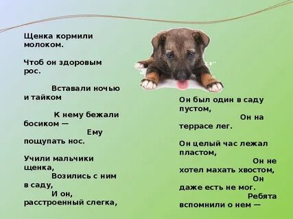 Как ухаживают за собакой 1 класс