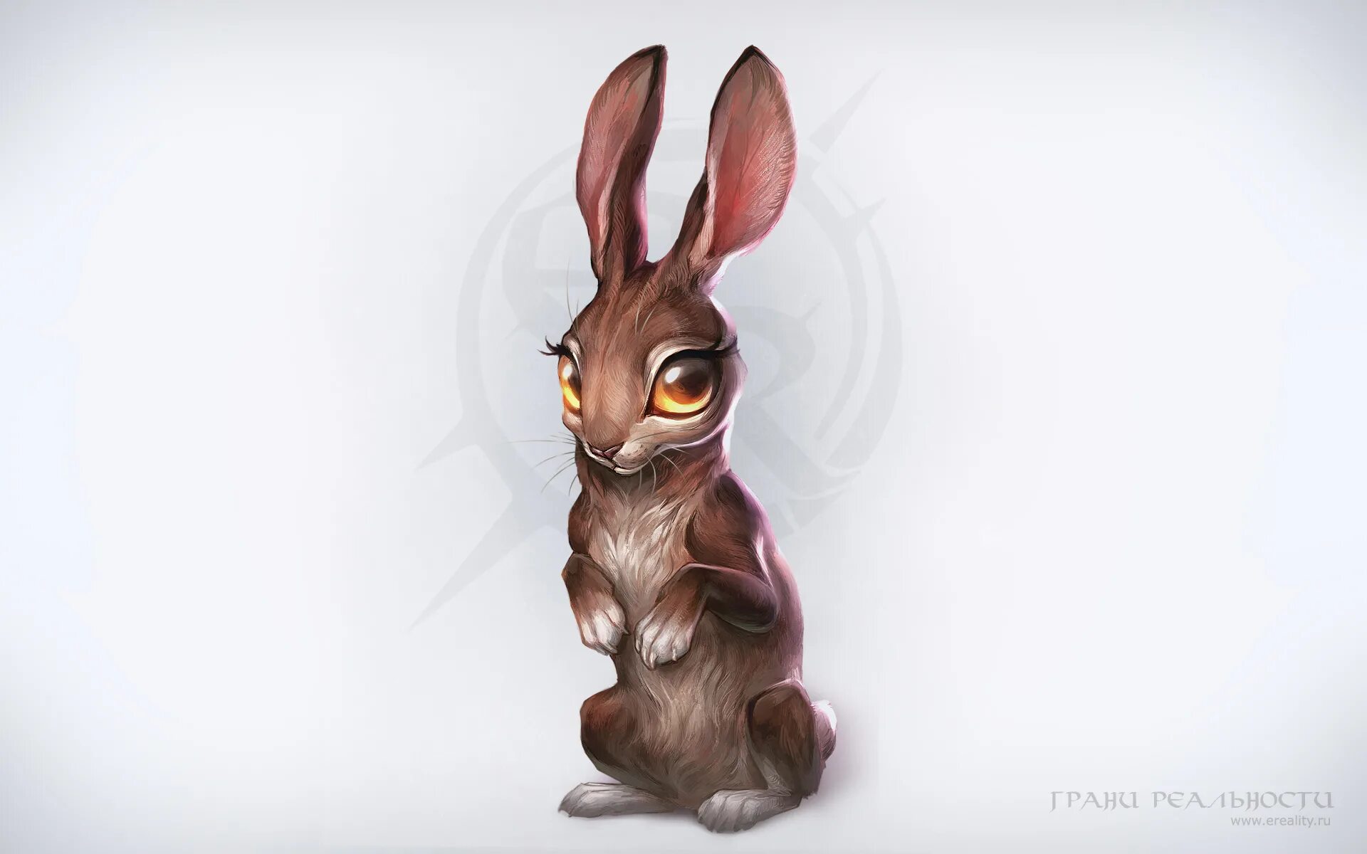 кролики хороший парень. кролик питер 2018. кролики хороший парень. кролики хороший парень.