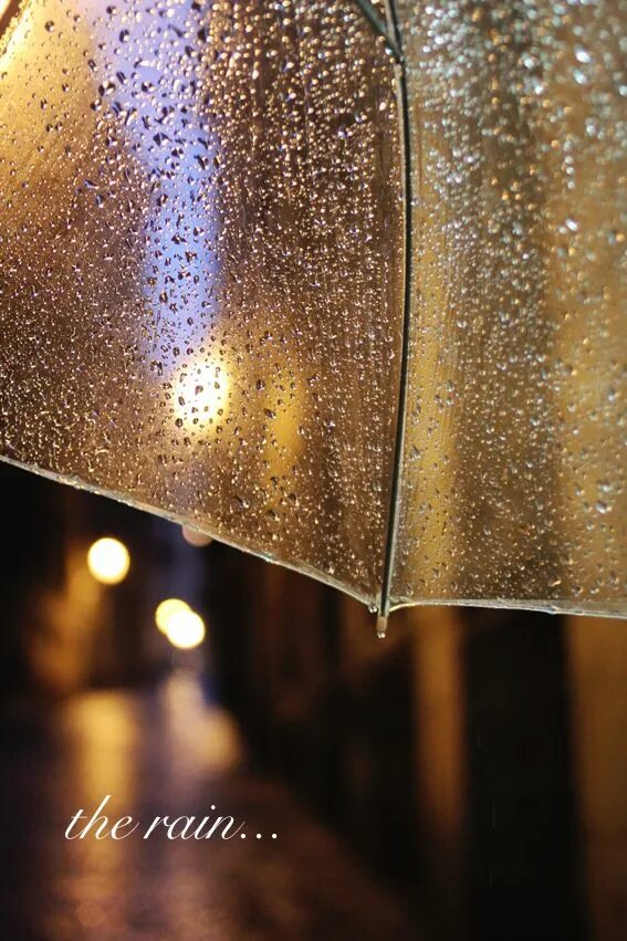 Дождливый дневник. Ах этот сумасшедший дождь. Дискуссия дождик. Оформление свадьбы капли дождя. Ах этот сумасшедший дождь картинки.