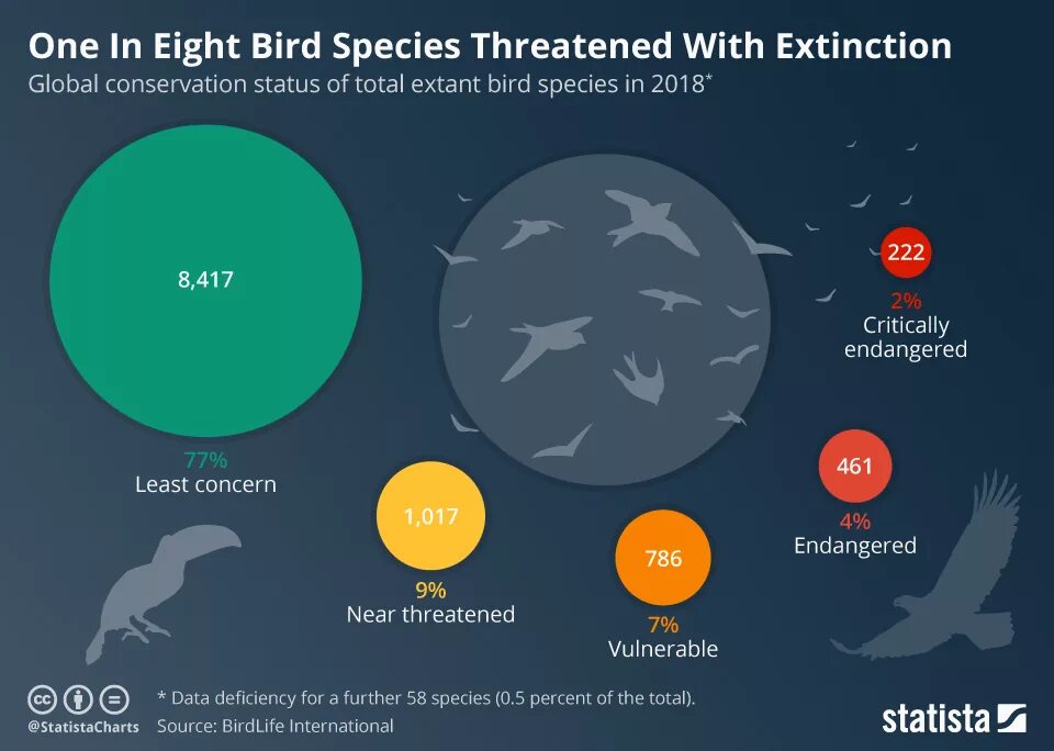 Release reduce adopt reusable endangered species. Endangered species statistics. Endangered species infographics. Endangered animals Statistic. Animal Extinction statistics.