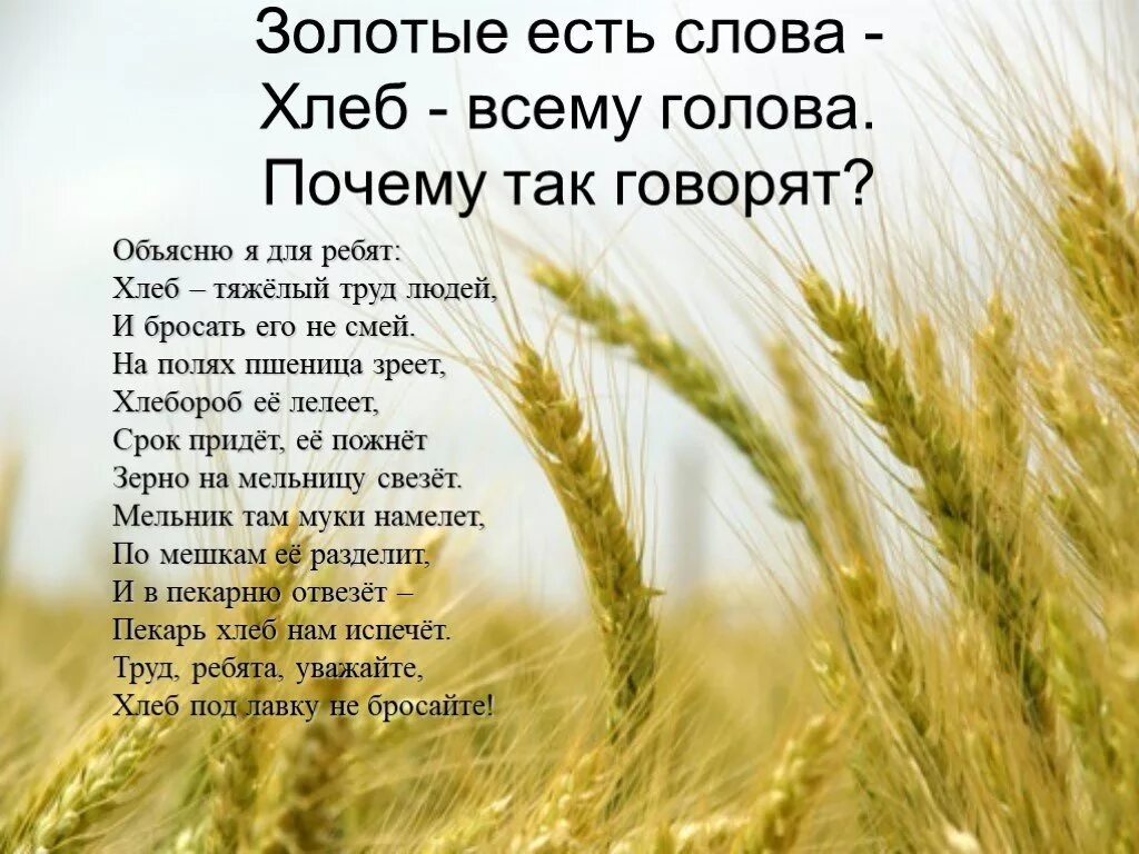 Стихотворение на тему хлеб. Хлеб всему голова. Стих про пшеницу. Красивый стих о хлебе. Жито объяснение