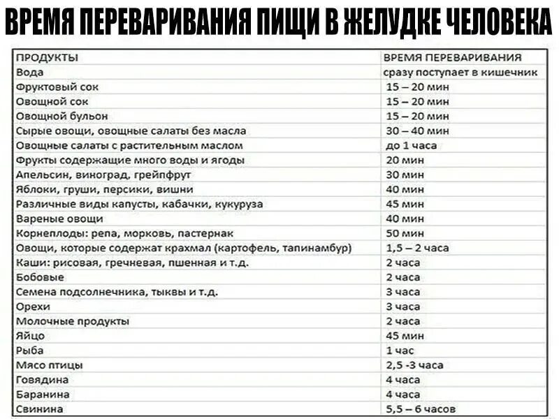 Сколько пища переваривается и выходит. Сколько переваривается пища у человека. Таблица переваривания продуктов в организме человека. Таблица переваривания пищи в желудке. Сроки переваривания пищи в желудке человека таблица.