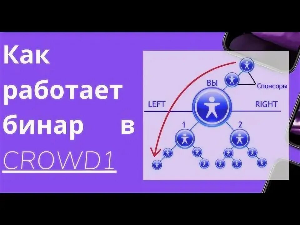 Бинары видео. Бинары видео