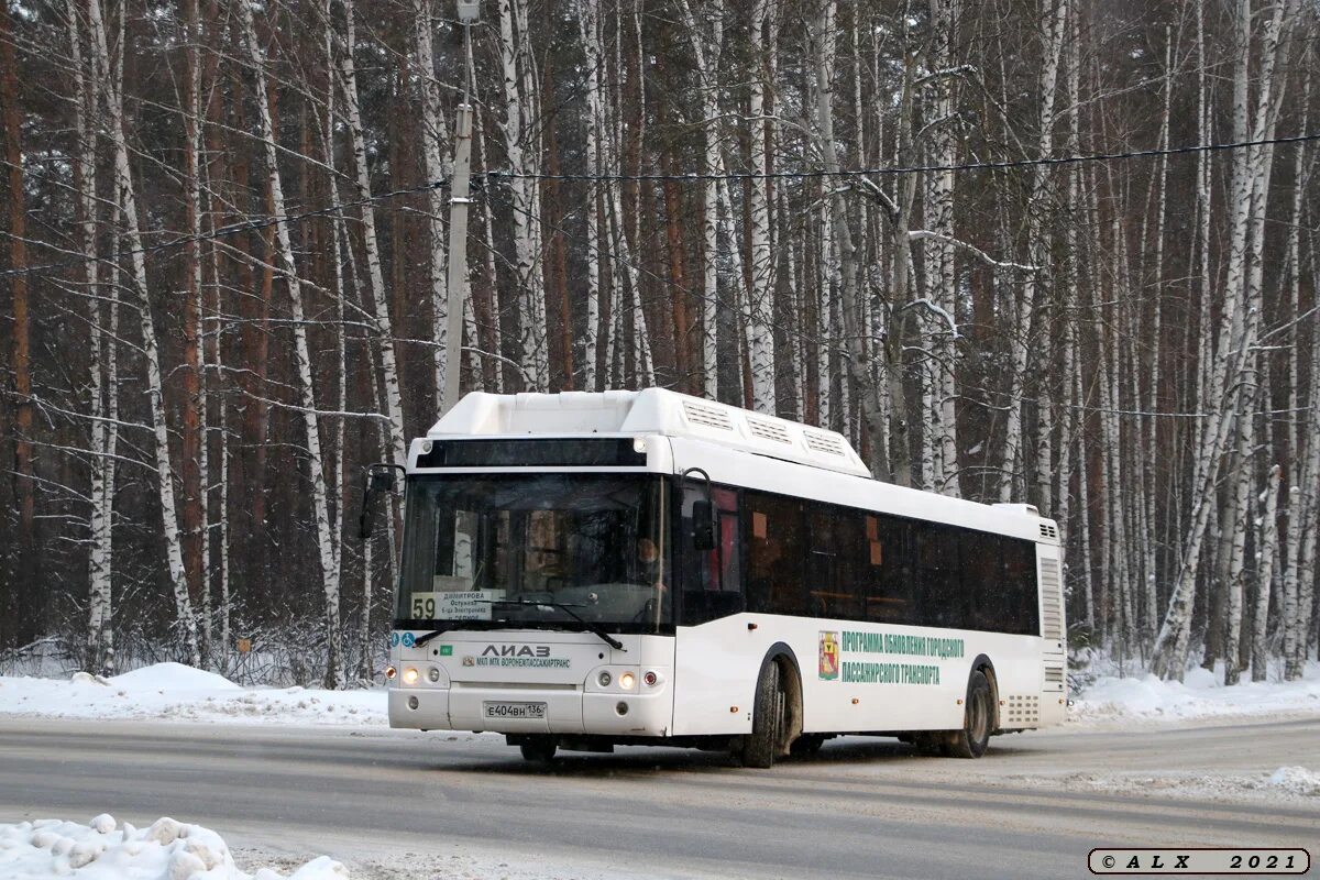 Икарус 260 воронеж. Репное автобус. Репное автобус. Репное воронеж лагерь. Репное автобус.
