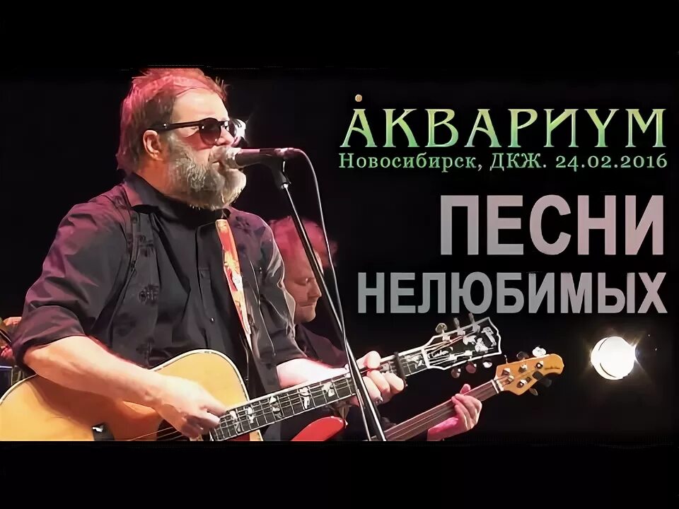 Песни нелюбимых аквариум. Песни нелюбимых Бориса Гребенщикова. Песня нелюбимых Гребенщиков.