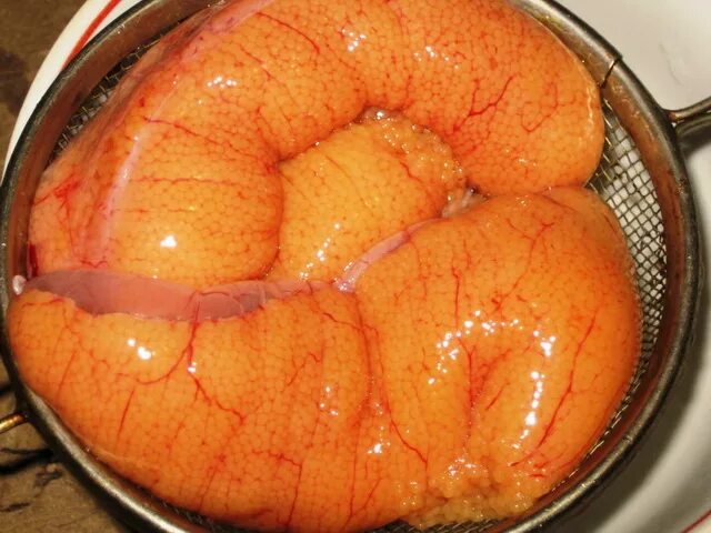 Как быстро посолить щучью икру