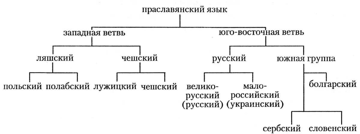 Славянская ветвь языков