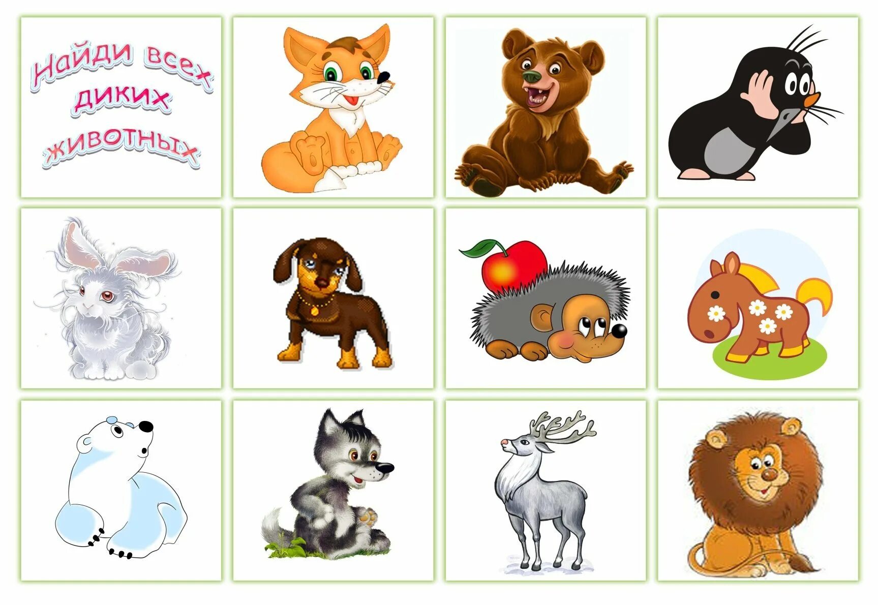 Узнавать про животных. Картинки животных для детей. Рисунки животных для детей. Карточки с изображением животных для детей. Картинки зверей для детей.