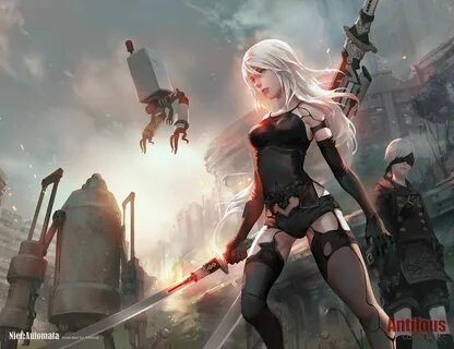 2a 2b ca