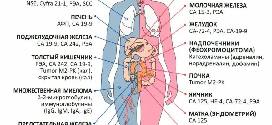 Онкомаркер лимфоузлов